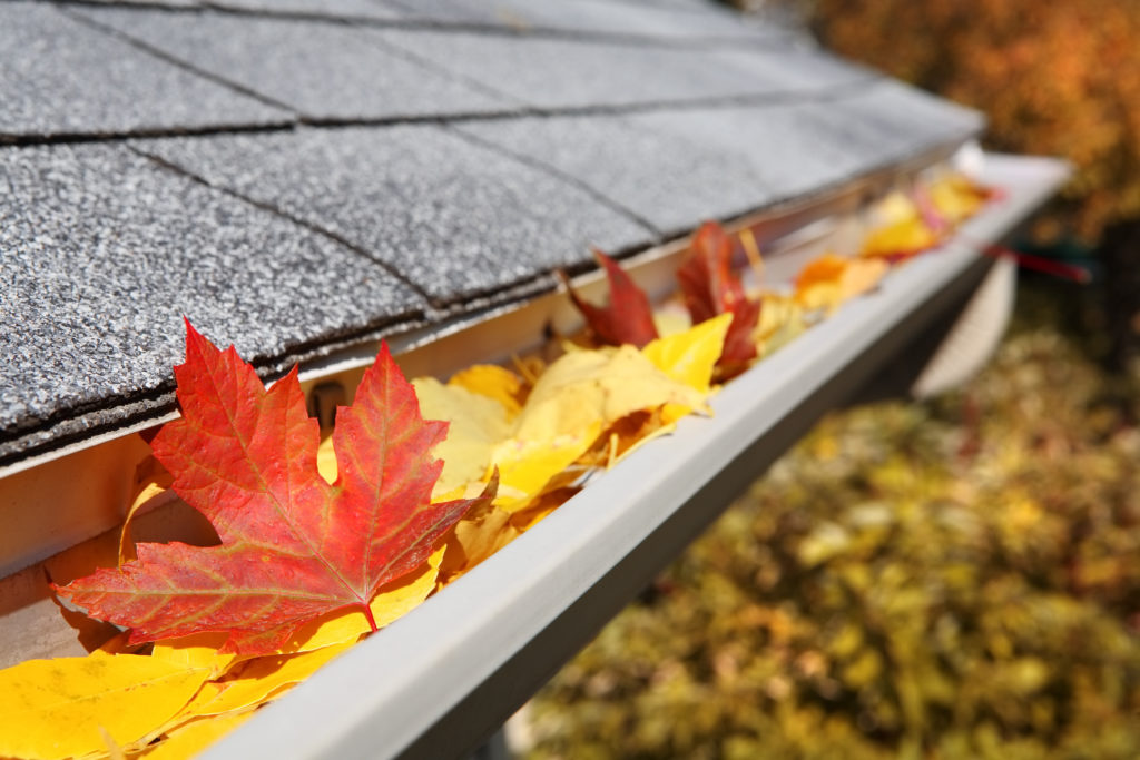 Why Cleaning Your Eavestroughs Is Important